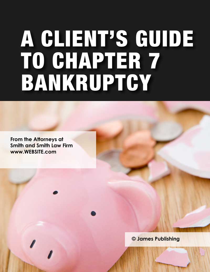BANK-consumer-booklet---Ch-7-Client's-Guide_Preview