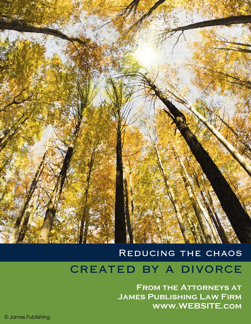 FAM-consumer-booklet---Reducing-the-Chaos-Created-by-a-Divorce_Preview