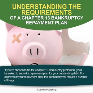 Understanding The Requirements Of A Chapter 13 Bankruptcy | James Toolbox